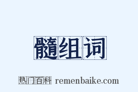 髓组词是什么意思的图片